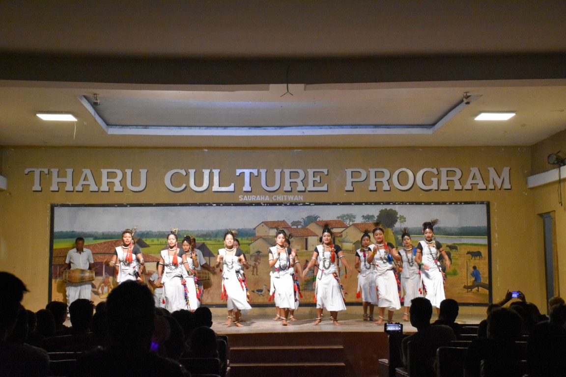 tharu culture show